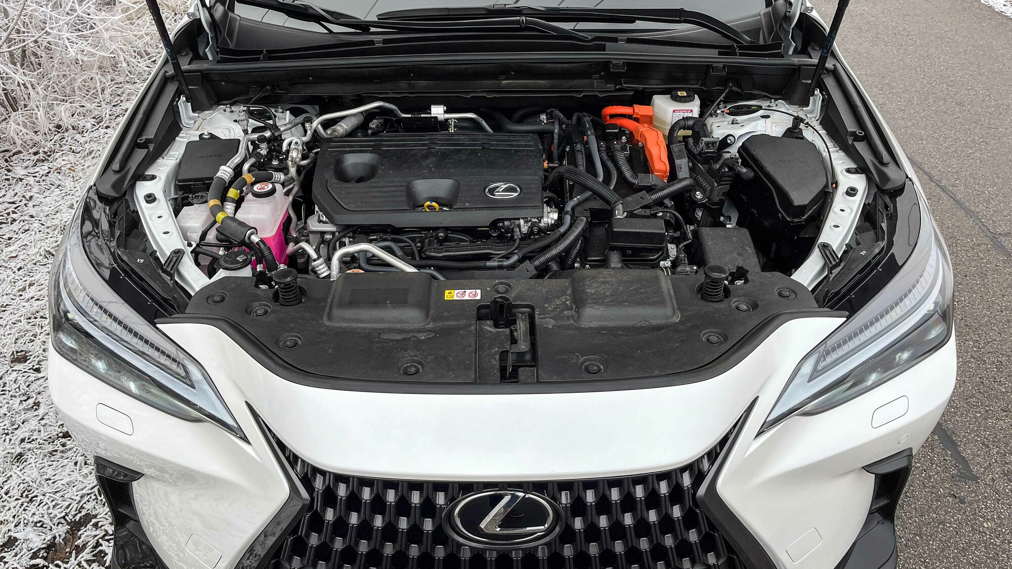 Lexus NX 450h+