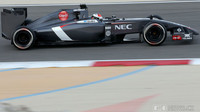 Sauber